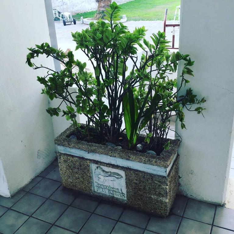 Suites Princess Bucerías Zewnętrze zdjęcie